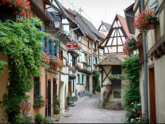 Duplex Saint Lustre, View Over Castle And Storks, 5 Mn From Colmar Eguisheim Eksteriør bilde