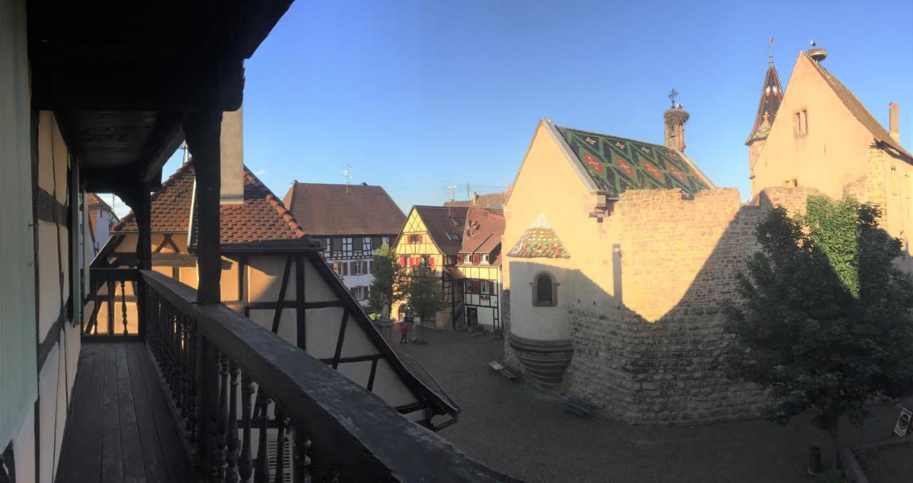 Duplex Saint Lustre, View Over Castle And Storks, 5 Mn From Colmar Eguisheim Eksteriør bilde